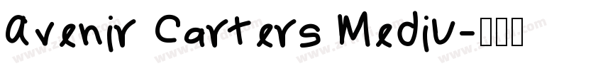 Avenir Carters Mediu字体转换
